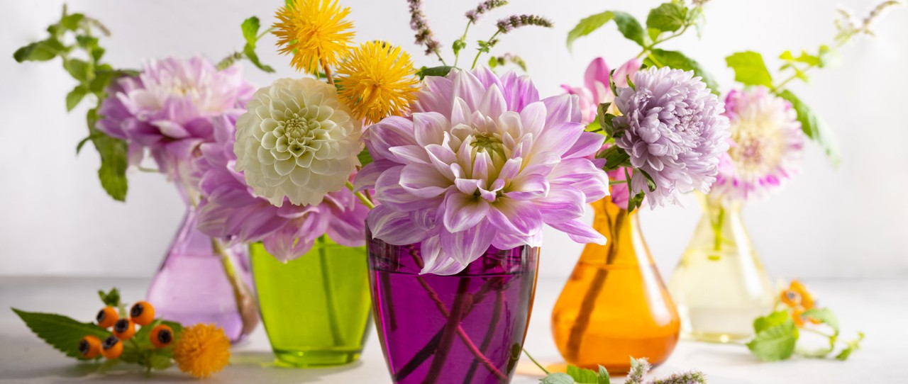 purple orange and green flower vases with purple flowers